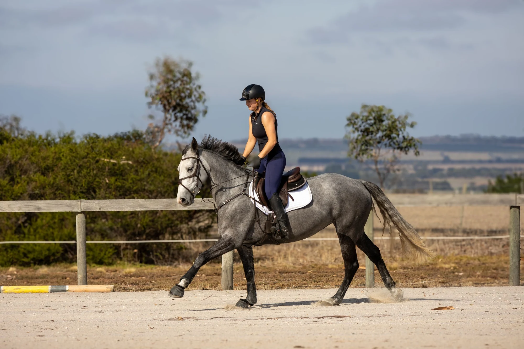 Rider on a grey horse working in an arena